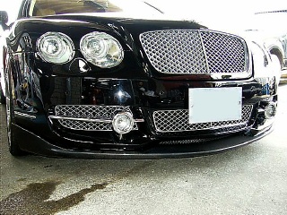 LDY ٥ȥ졼 ե饤󥰥ѡ ѥѡ LDY flying SPUR ե å ݥ顼 ʥ᡼